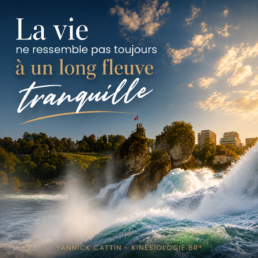 Les chutes du Rhin illustrent que la vie ne ressemble pas toujours à un long fleuve tranquille, symbole des changements et de la capacité d'adaptation.